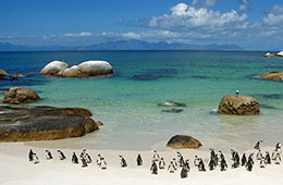 Boulders Beach